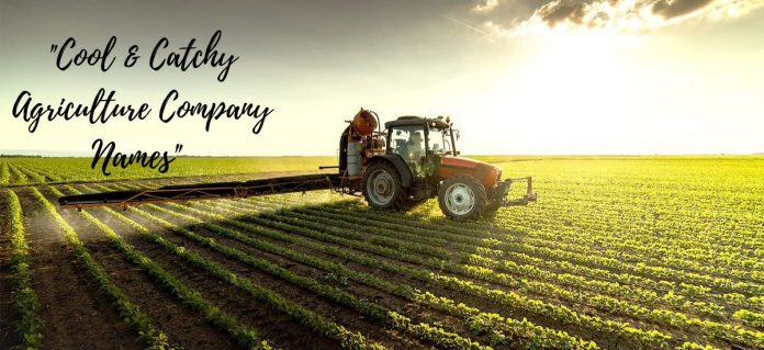 100+ Catchy & Unique Agriculture Company Names Ideas