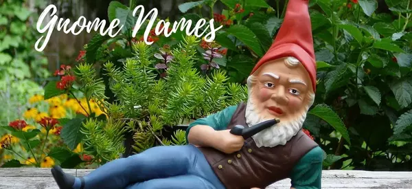 Explore some Amazing gnome Names