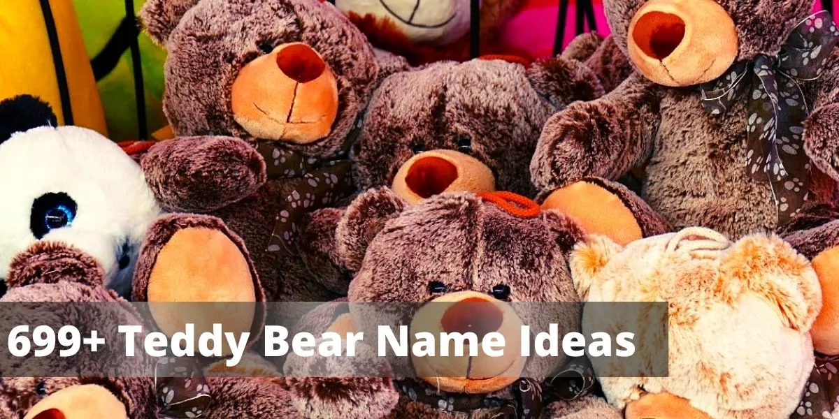 Teddy Bear Name