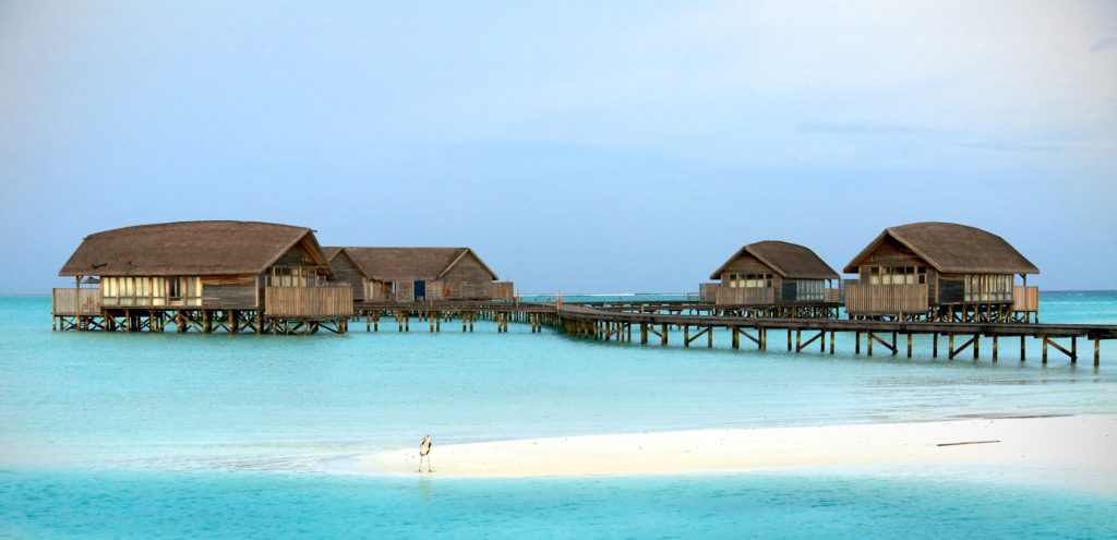 Cocoa_Island_(Maldives)