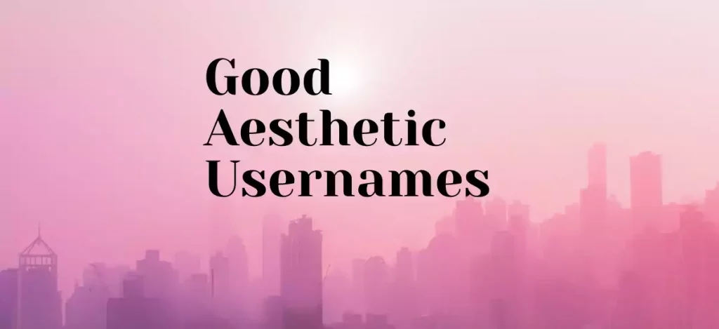 749+ Cool & Creative Aesthetic Usernames And Ideas 