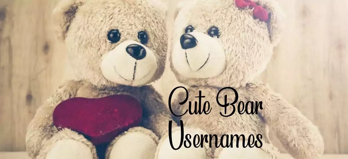 Cute Bear Usernames