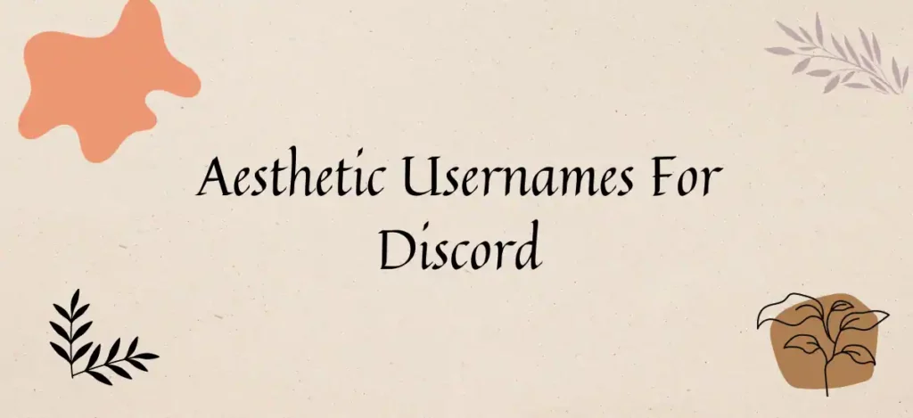 Aesthetic Usernames For Discord
